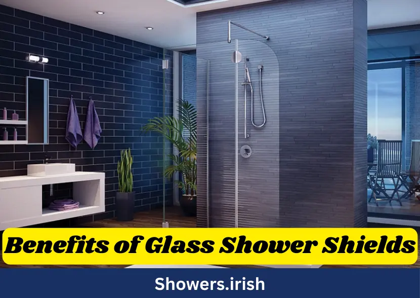 Benefits of Glass Shower Shields