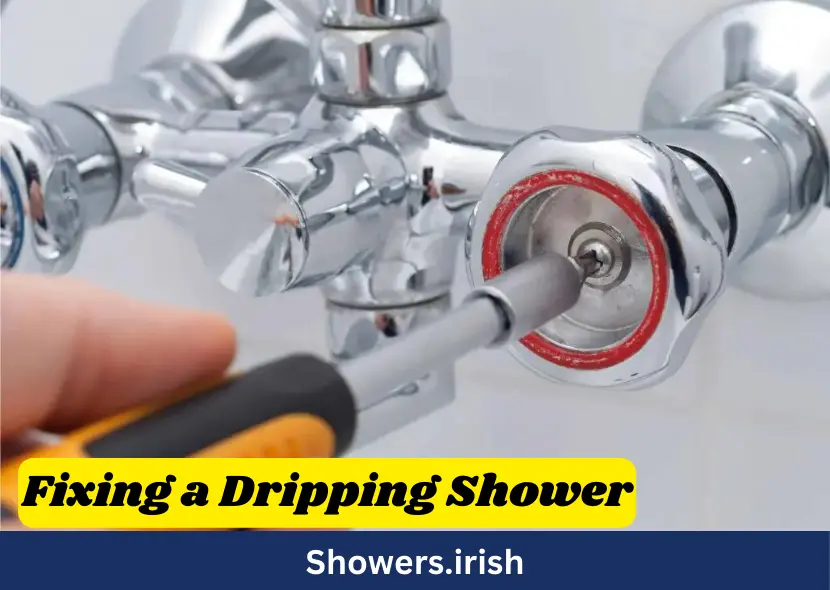 Say Goodbye to Leaks The Ultimate Guide to Fixing a Dripping Shower