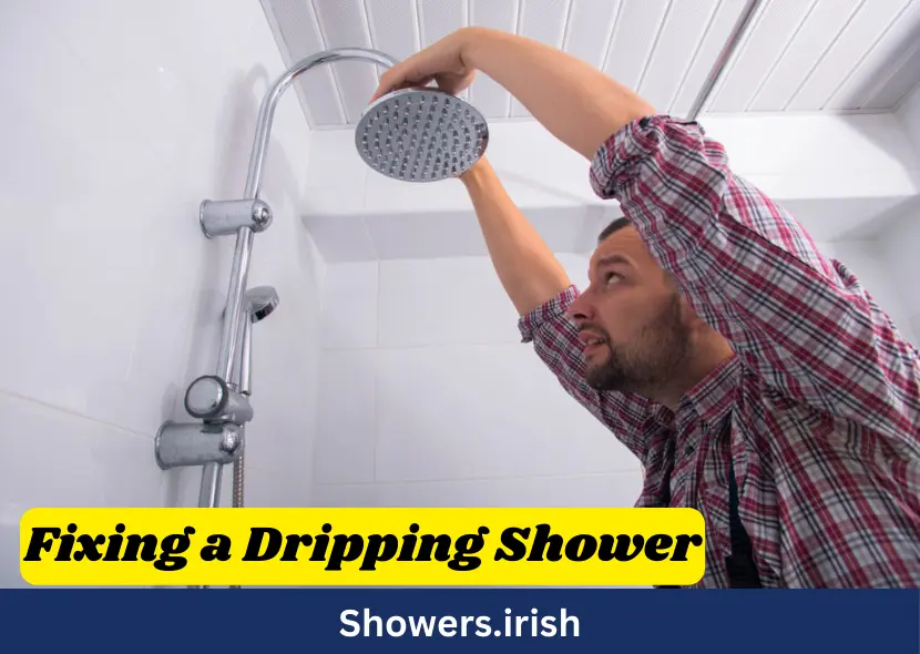 Step-by-Step Guide to Fixing a Dripping Shower