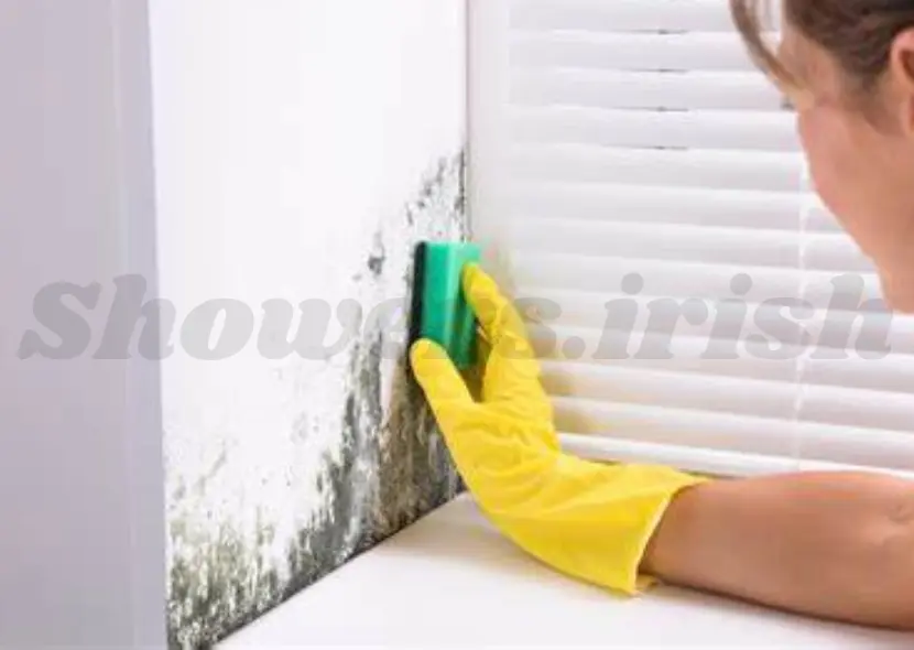 Tips to Keep Mold Away